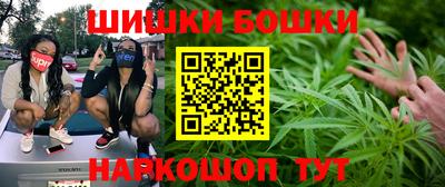 Альфа ПВП Пушкино
