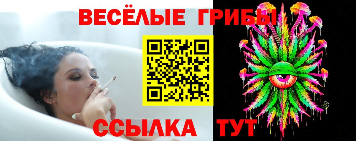 Рассказово  Галлюциногенные грибы ЛСД  Вход с VPN 