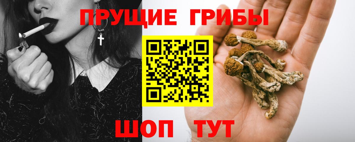 Псилоцибиновые грибы GOLDEN TEACHER Рассказово